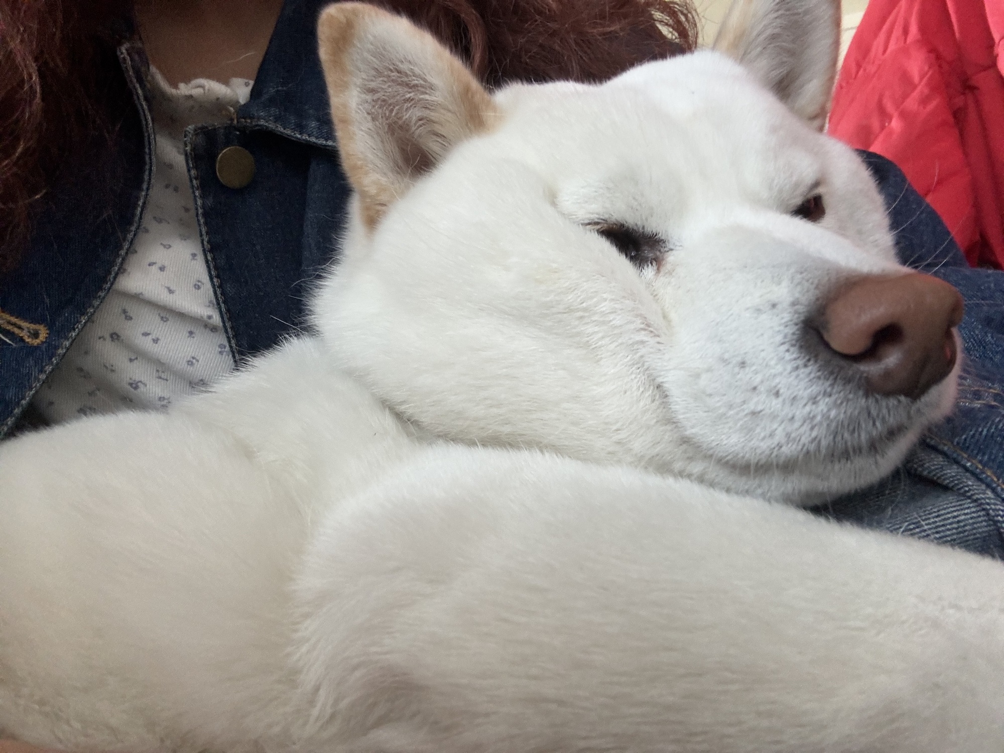 お気に入りの歌詞紹介