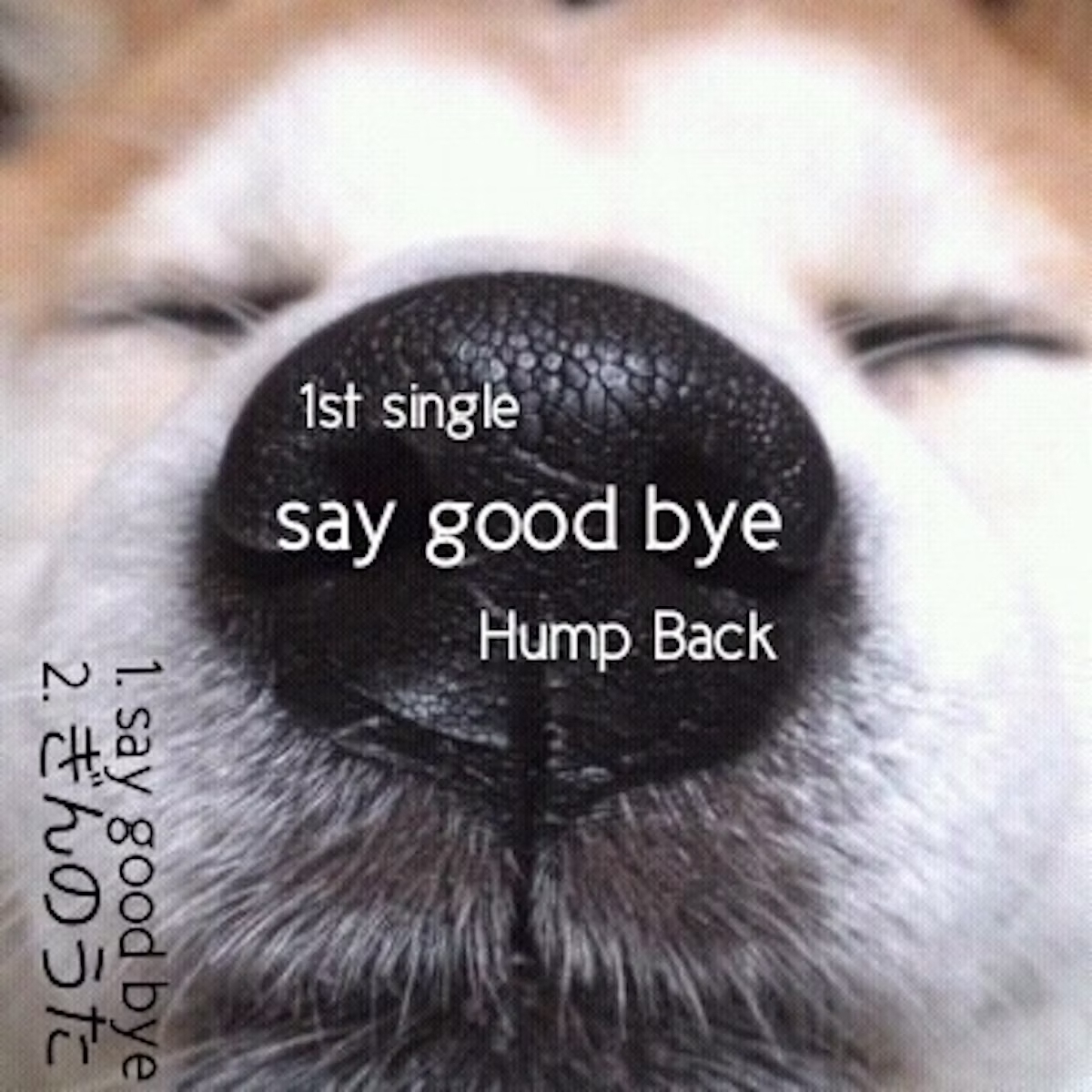 say good bye